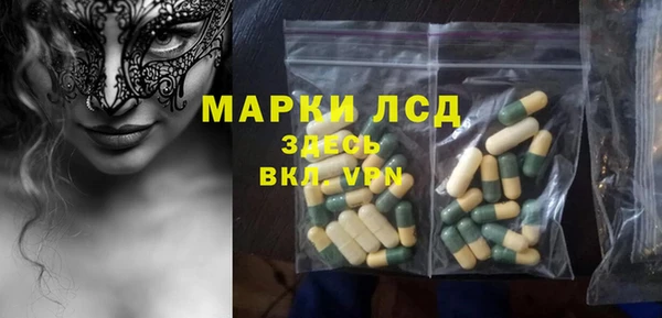 сатива Аркадак