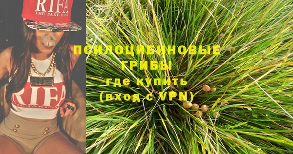 эйфоретик Баксан