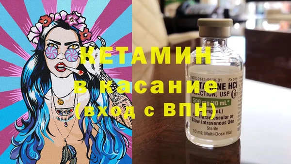 сатива Аркадак