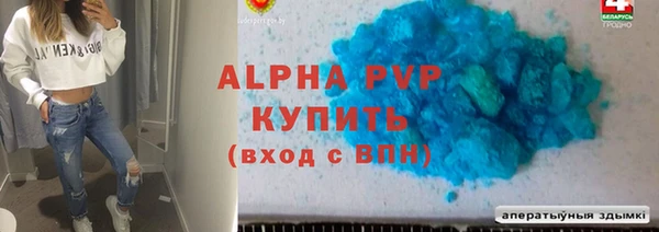 сатива Аркадак