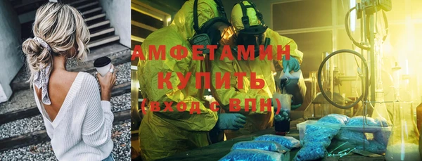 сатива Аркадак