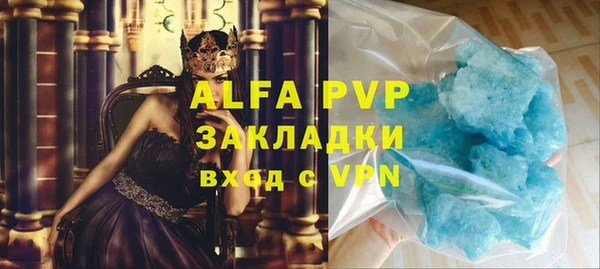 сатива Аркадак
