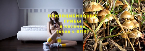 сатива Аркадак