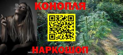 стафф Братск