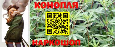 стафф Братск