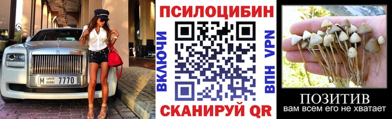 Псилоцибиновые грибы мицелий  площадка как зайти  Белая Калитва  hydra ссылки 