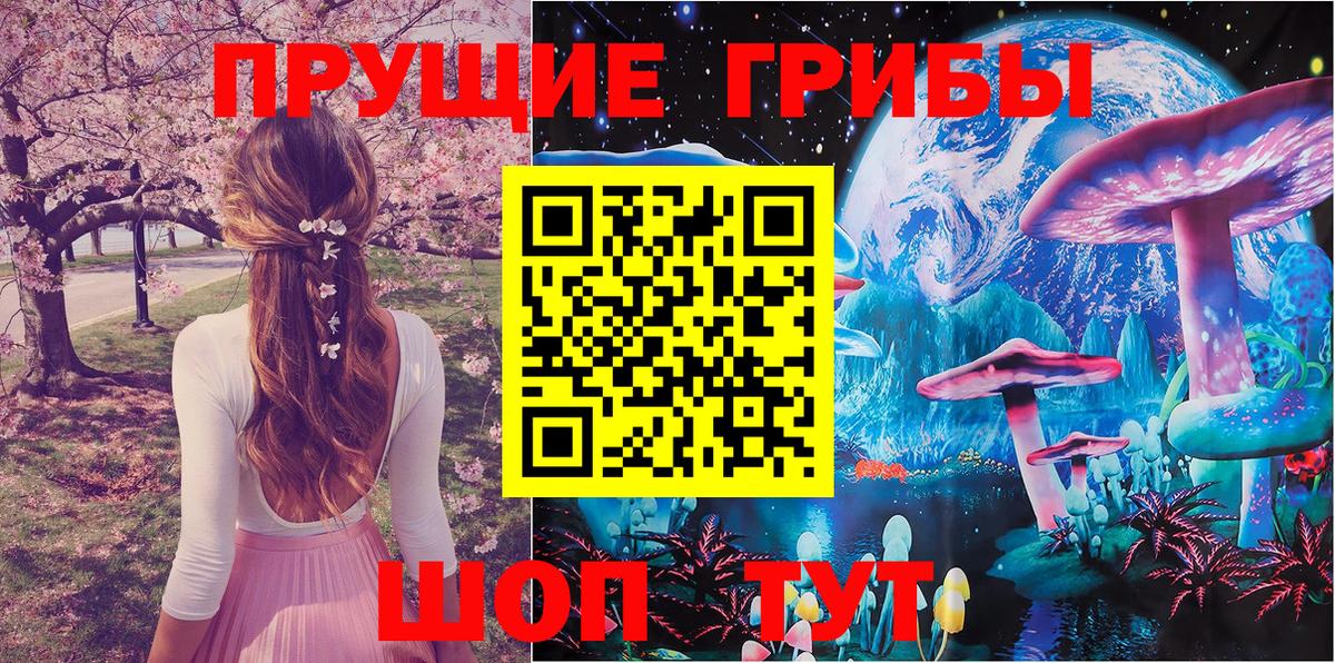 Псилоцибиновые грибы мицелий Белая Калитва